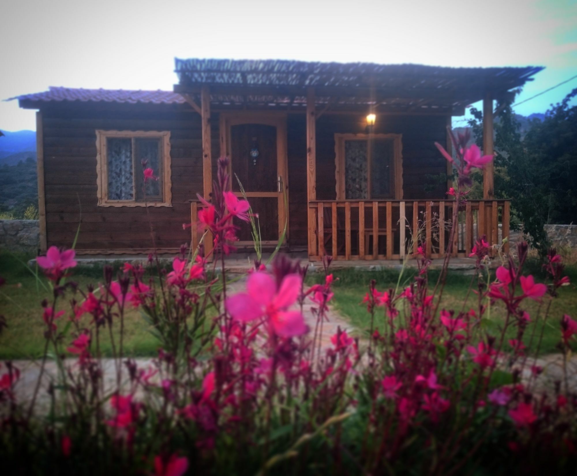 Ipekce Tatil Evleri 메수디에 외부 사진